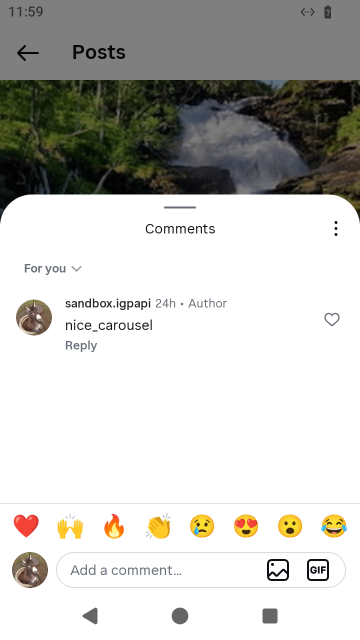 The comments sheet